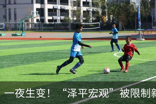 一夜生变！“泽平宏观”被限制新增关注，视频号暂时不受影响