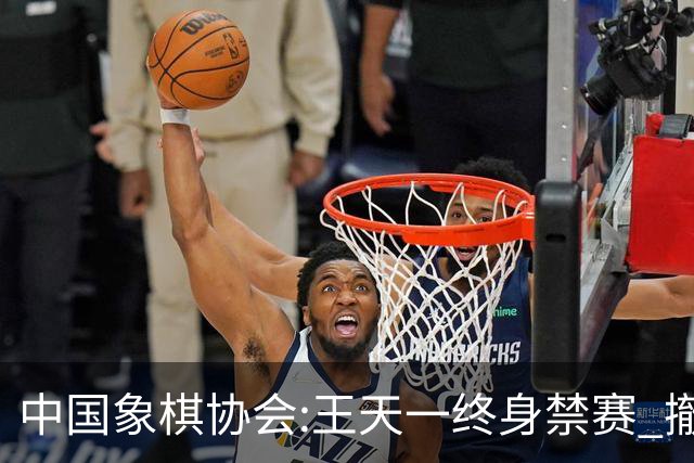 中国象棋协会:王天一终身禁赛 撤销特大等称号