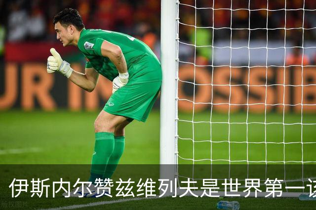 伊斯内尔赞兹维列夫是世界第一该有的样子，世界最好接发球员之一