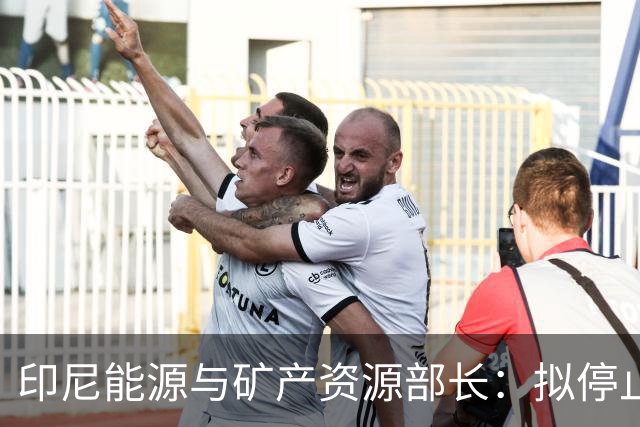 印尼能源与矿产资源部长：拟停止向不尊重印尼的国家供能