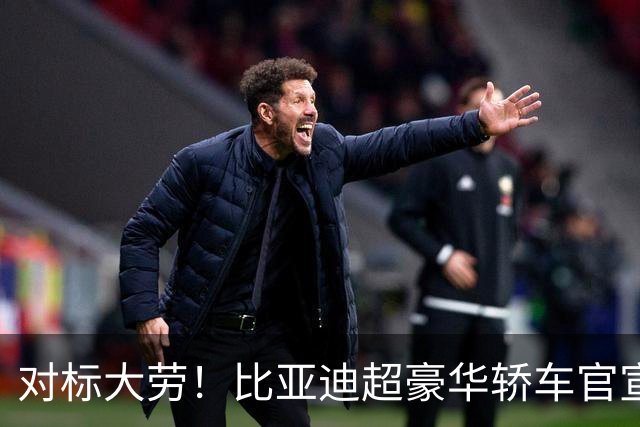 对标大劳！比亚迪超豪华轿车官宣