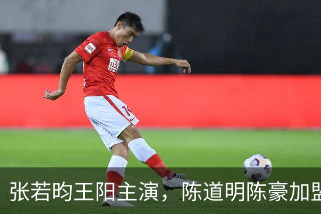 张若昀王阳主演，陈道明陈豪加盟，国产谍战剧终于迎来高潮