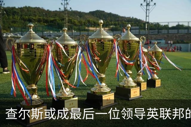 查尔斯或成最后一位领导英联邦的温莎君主？威廉被指无意接班