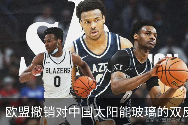 欧盟撤销对中国太阳能玻璃的双反关税，中国份额只剩3%：门开了，可门里站着的已经是印度人