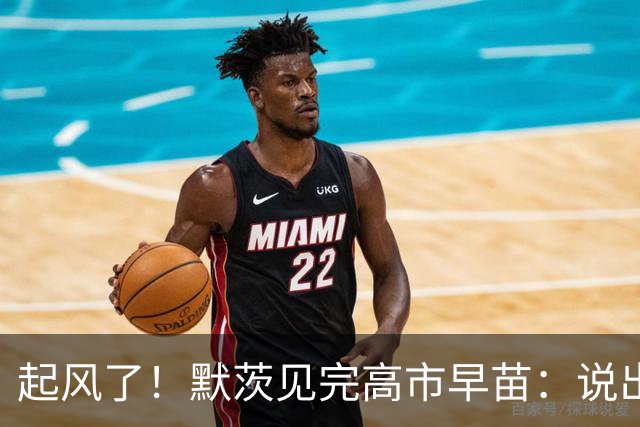 起风了！默茨见完高市早苗：说出的话，一开口就不对劲