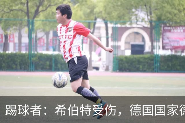 踢球者：希伯特受伤，德国国家德比主裁判已更换为斯蒂勒