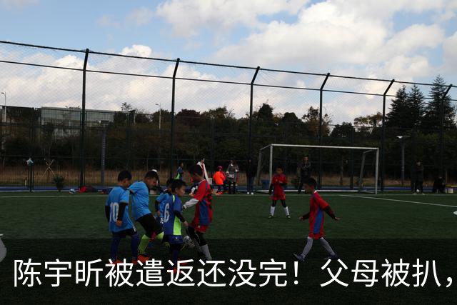 陈宇昕被遣返还没完！父母被扒，扬州公司洗白?背后的人憋不住了