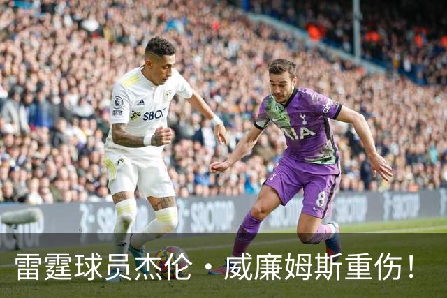 雷霆球员杰伦·威廉姆斯重伤！