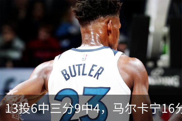 13投6中三分9中4，马尔卡宁16分6板仍难救主