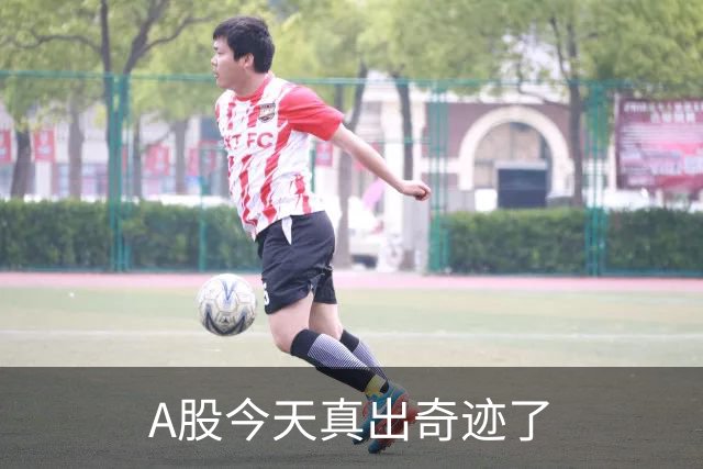 A股今天真出奇迹了