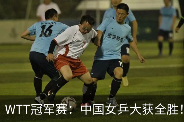 WTT冠军赛：中国女乒大获全胜！16强占6个席位，陈幸同剃对手光头